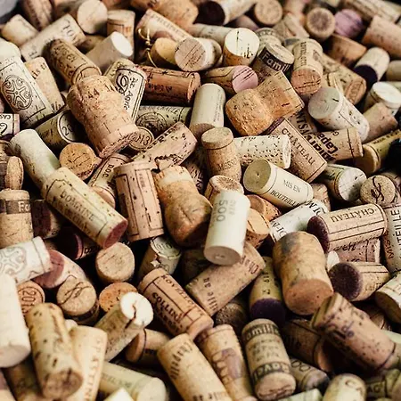 Hotel Og Boutique Cassitel, 2*