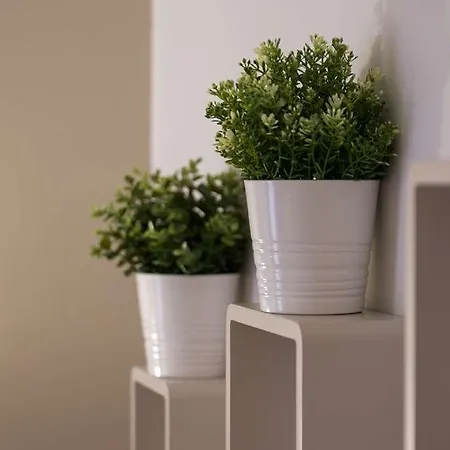 Og Boutique Cassitel, Ξενοδοχείο